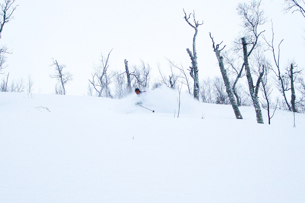 BIDRAG: Dette bildet fra Tamokdalen er et av bidragene i ukens helgebilde. BIDRAG: Dette bildet fra Tamokdalen er et av bidragene i ukens helgebilde.