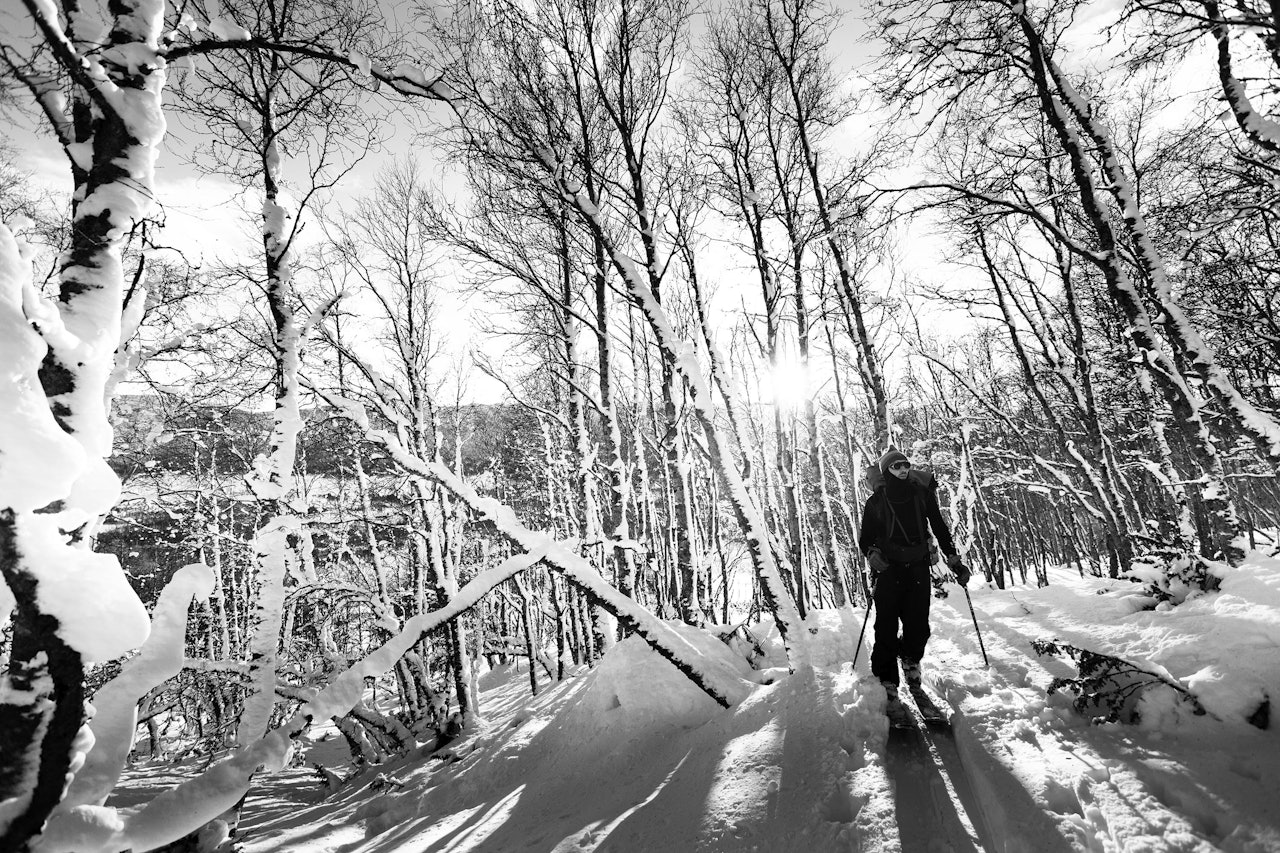 TURING: Hva heter aktiviteten på bildet? Det er blant debattene som tas i ukas pod. På bildet ser du podkaster Henning Reinton. Bilde: Kristoffer Kippernes TURING: Hva heter aktiviteten på bildet? Det er blant debattene som tas i ukas pod. På bildet ser du podkaster Henning Reinton. Bilde: Kristoffer Kippernes