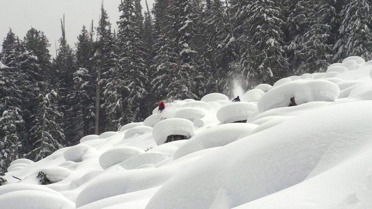 PILLOWS: Her sto en gang i tida en drøss grantrær. Nå består området av nedsnødde stubber, vei til topps og ekstremt fornøyde skikjørere. PILLOWS: Her sto en gang i tida en drøss grantrær. Nå består området av nedsnødde stubber, vei til topps og ekstremt fornøyde skikjørere.