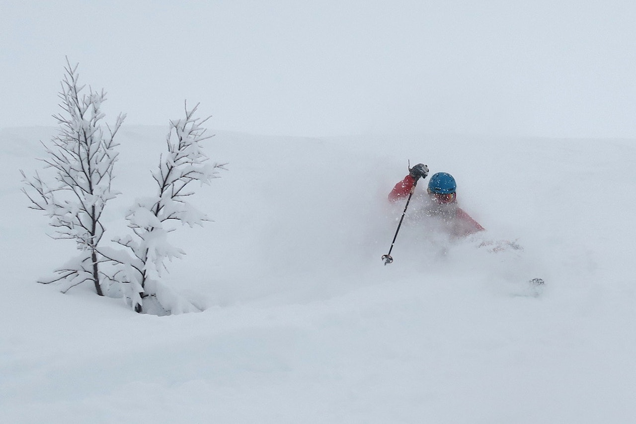 VINNER: Det var Bård Smestad som vant ukens helgebilde. Foto: Bård Smestad VINNER: Det var Bård Smestad som vant ukens helgebilde. Foto: Bård Smestad