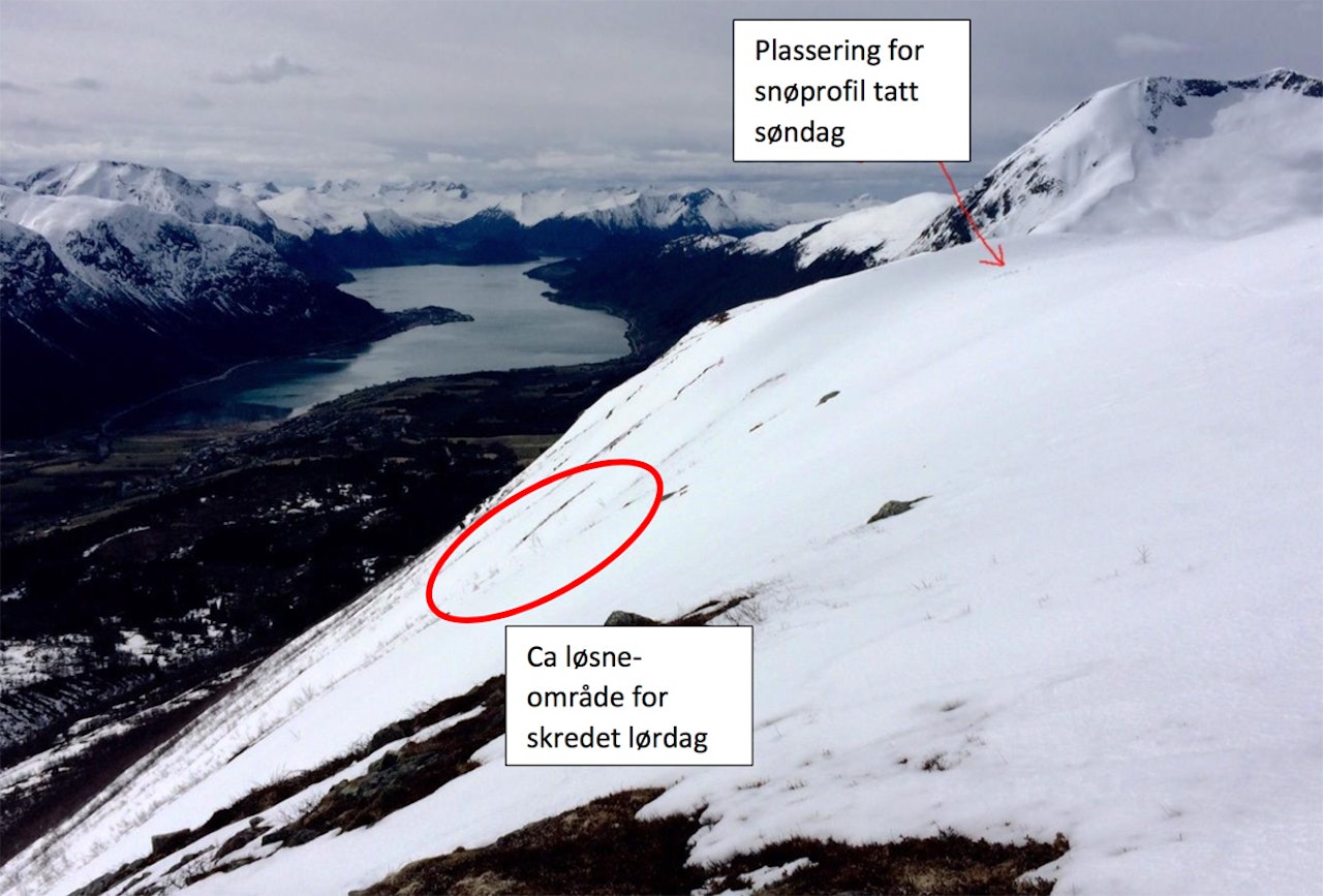 SØRVENDT: Den fatale skredulykken skjedde i et sørvendt heng på Steinberget i Isfjorden. Bilde fra NVEs skredrapport. SØRVENDT: Den fatale skredulykken skjedde i et sørvendt heng på Steinberget i Isfjorden. Bilde fra NVEs skredrapport.