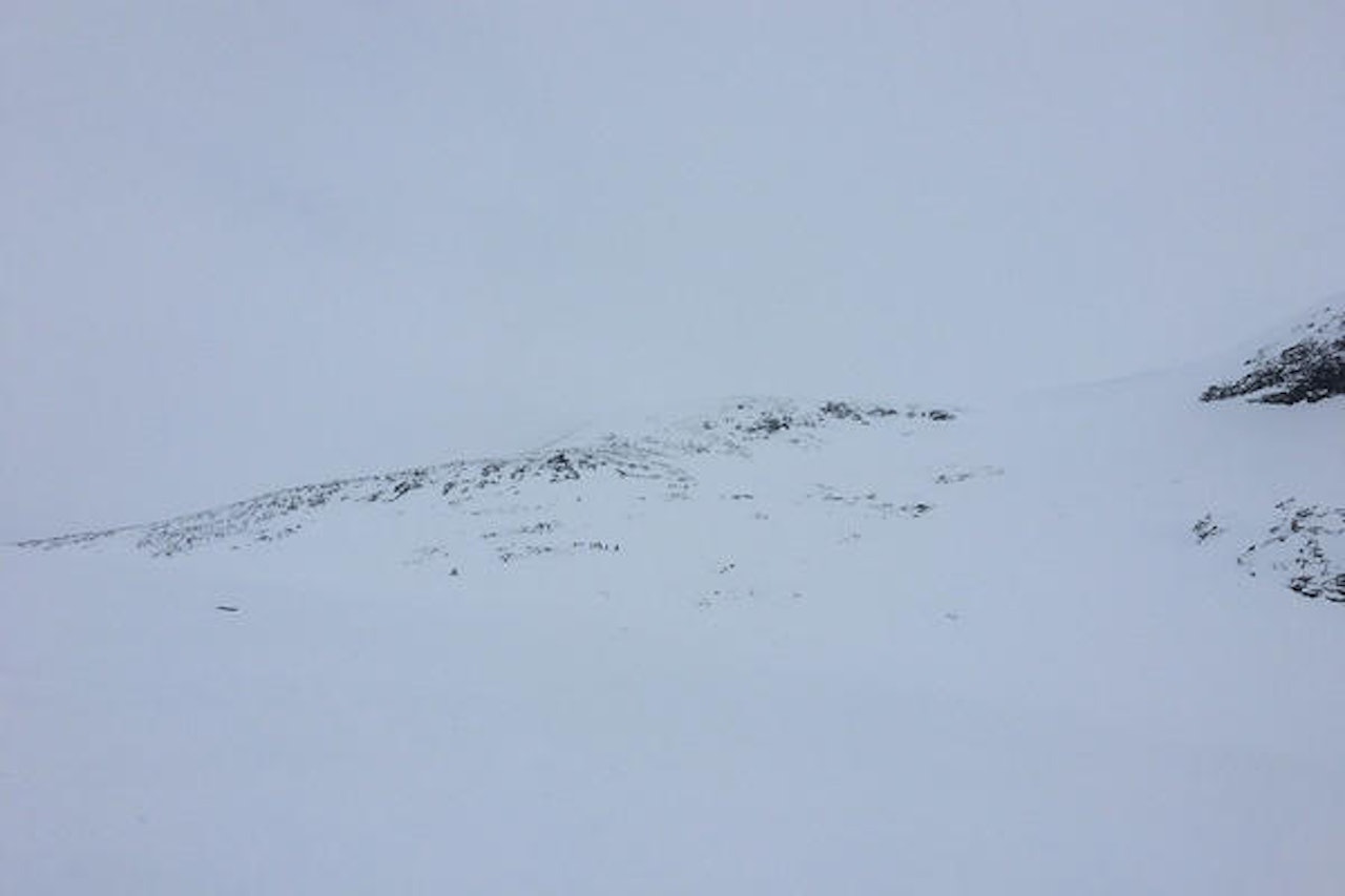 SKRED: Det var i dette området skredet gikk. Foto: Audun Holmøy Røhrt SKRED: Det var i dette området skredet gikk. Foto: Audun Holmøy Røhrt