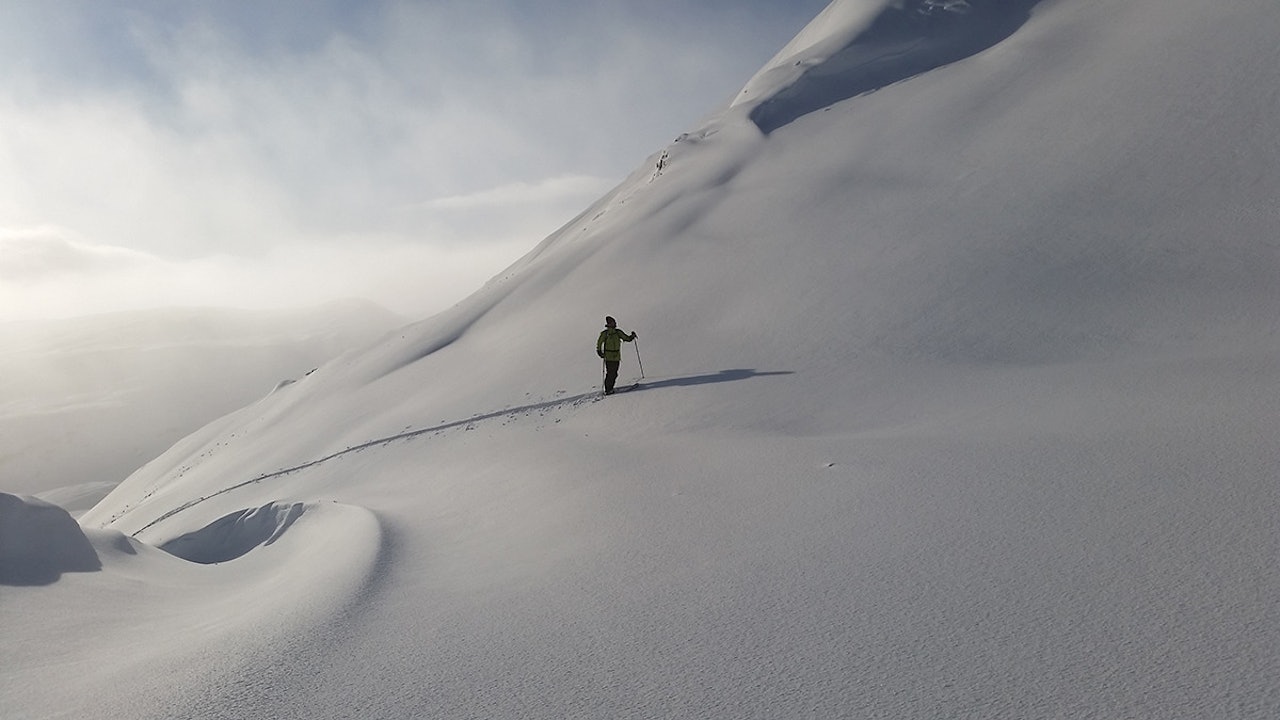 VINNER: Dette bildet fra Vikafjellet vant helgekonkurransen. Foto: Ruben Nygaard VINNER: Dette bildet fra Vikafjellet vant helgekonkurransen. Foto: Ruben Nygaard