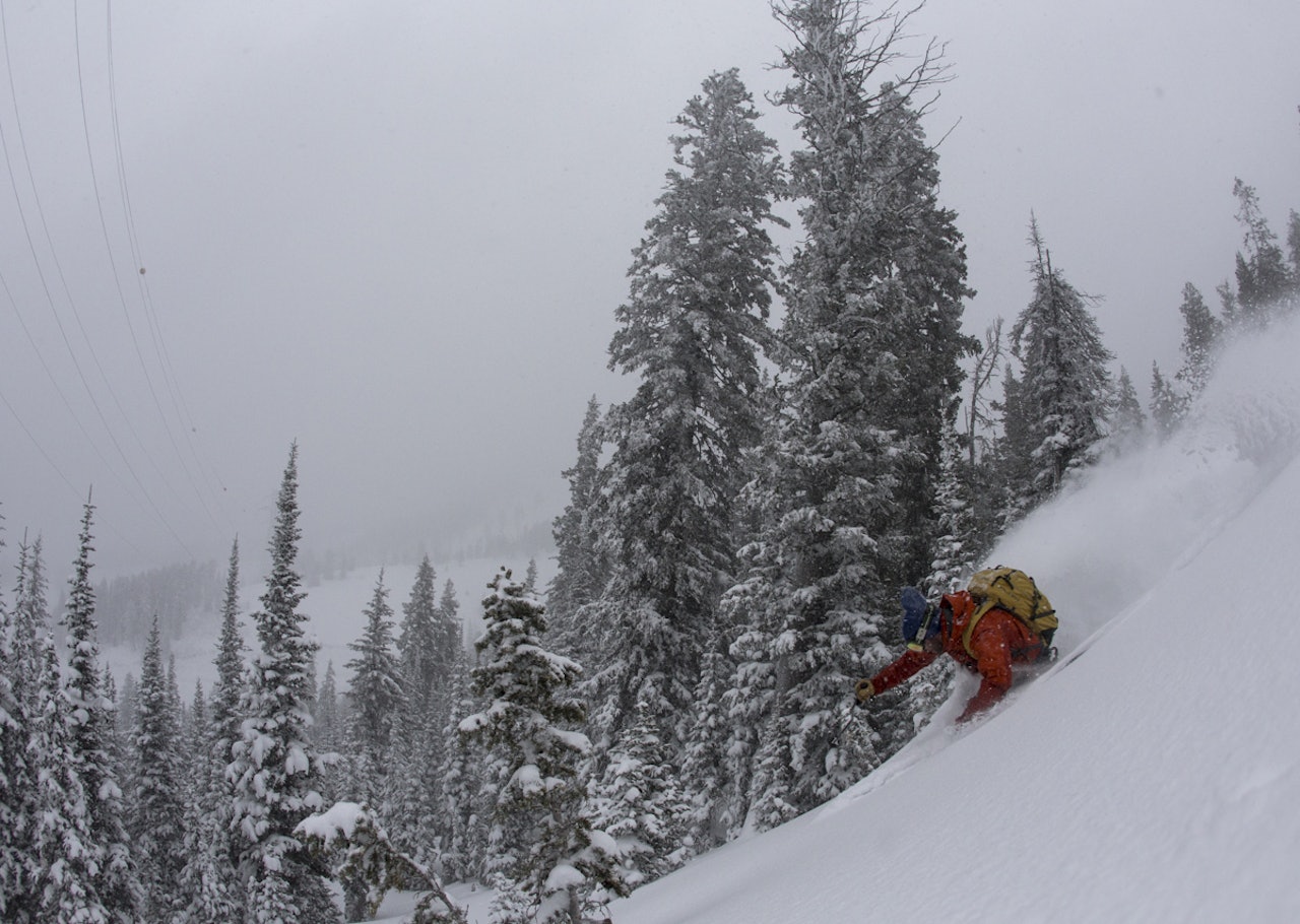 LAST CHRISTMAS: I fjor var deler av Fri Flyt-redaksjonen i USA. Alex Hunt feirer med en venstresving i Teton Pass, nær Jackson Hole. Foto: Hans Petter Hval LAST CHRISTMAS: I fjor var deler av Fri Flyt-redaksjonen i USA. Alex Hunt feirer med en venstresving i Teton Pass, nær Jackson Hole. Foto: Hans Petter Hval