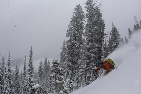 LAST CHRISTMAS: I fjor var deler av Fri Flyt-redaksjonen i USA. Alex Hunt feirer med en venstresving i Teton Pass, nær Jackson Hole. Foto: Hans Petter Hval LAST CHRISTMAS: I fjor var deler av Fri Flyt-redaksjonen i USA. Alex Hunt feirer med en venstresving i Teton Pass, nær Jackson Hole. Foto: Hans Petter Hval