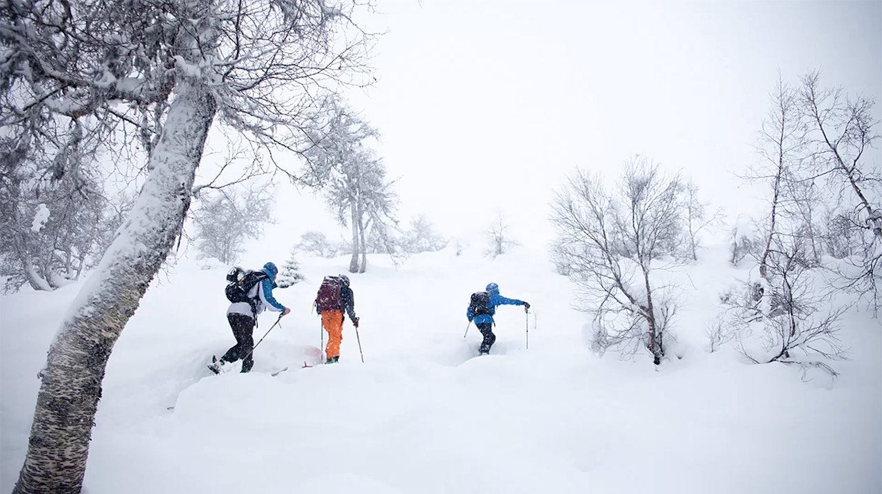 FORHOLD: Nå er det skiforhold i Sogndal ved flere steder. Foto: Matias Myklebust