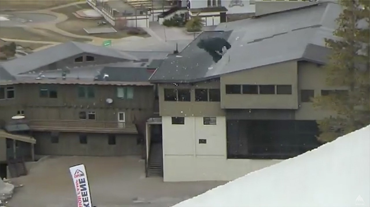 Foto: Skjermdump / YouTube Foto: Skjermdump / YouTube