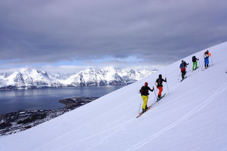 PROTESTER: – Heliskiing i Lyngen (bildet) vil ødelegge atmosfæren i et av verdens fineste fjellområdet fullstendig, mener kanadiske Selena Cordeau, som studerer i Tromsø. Arkivfoto: Fredrik Gyllenhammar Raaum