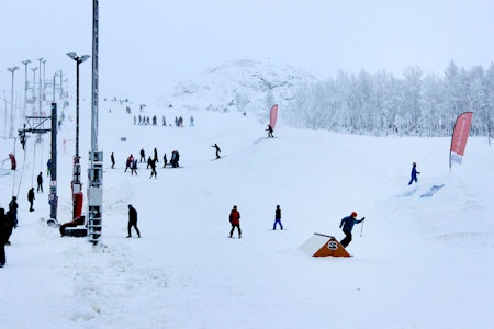 FOLKSOMT NO MORE: Vierli stenger for godt, og scener som dette fra 2014 er historie. Foto: Tore Meirik FOLKSOMT: Masse folk, og –etter forholdene- innholdsrik park da Vierli åpna i helga. Foto: TC Øye