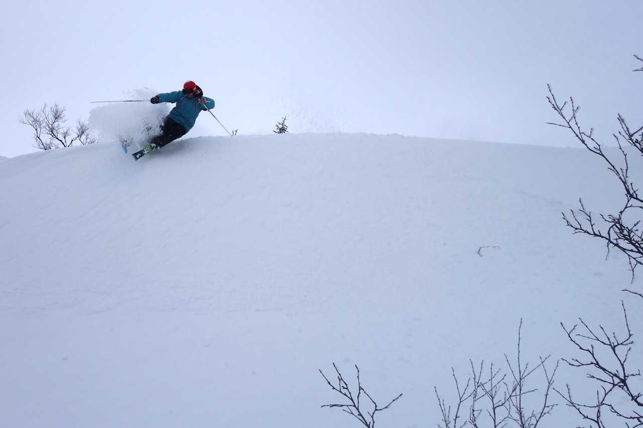 PÅSKEPOW: Håkon Langlien var på rett sted til rett tid fredag; Han pumpa pudder på Norefjell. Foto: Lars Moen Norefjell puder snø ski snowboard freeride guide