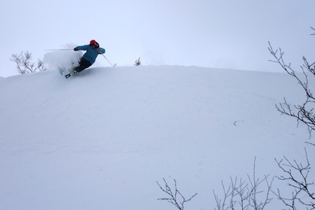 Norefjell puder snø ski snowboard freeride guide
