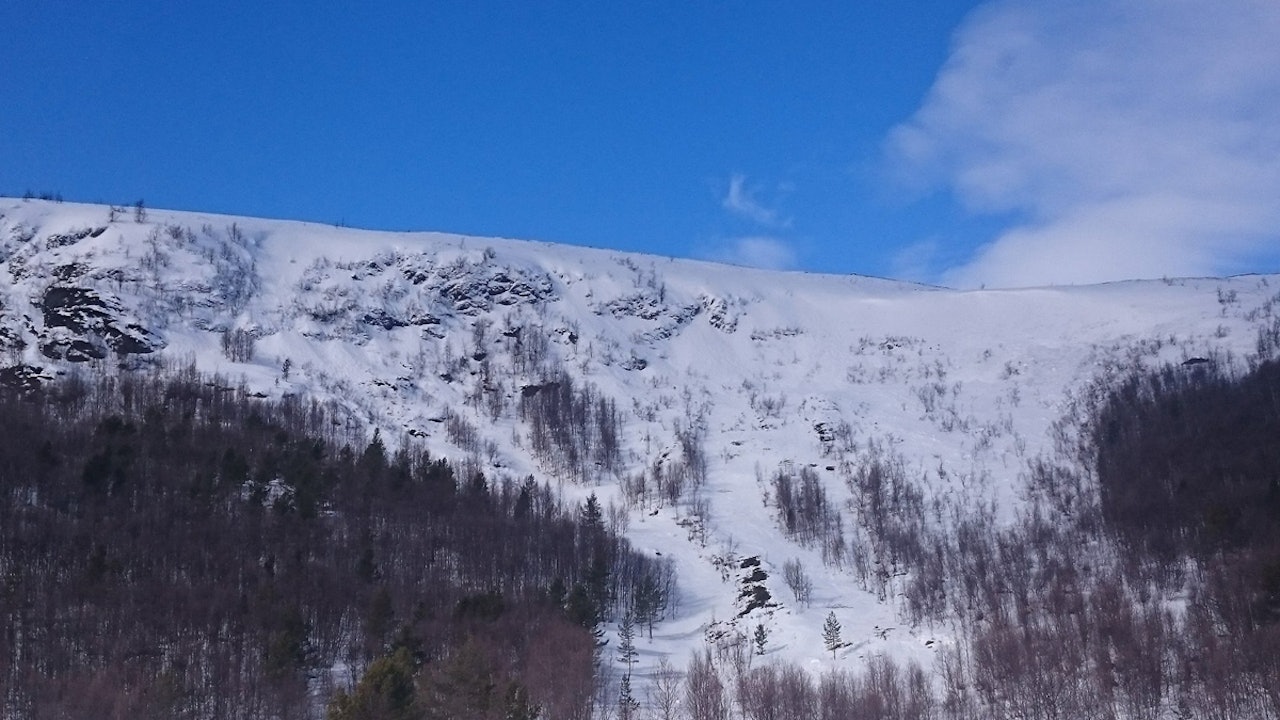 KLAR FOR FEST: Her skal kvaliken kjøres fredag, bildet ble tatt etter snøfallet i går. Finaleface´n er foreløpig ikke avslørt. Foto: Daniel Gangsø KLAR FOR FEST: Her skal kvaliken kjøres fredag, bildet ble tatt etter snøfallet i går. Finaleface´n er foreløpig ikke avslørt. Foto: Daniel Gangsø