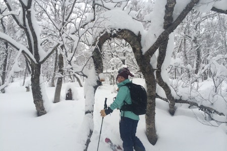 SUPER TUR: Linn Cecilie Mæhlum på tur i Sunndalen under innspillingen av Supervention 2. Bilde: Asbjørn Eggebø Næss SUPER TUR: Linn Cecilie Mæhlum på tur i Sunndalen under innspillingen av Supervention 2. Bilde: Asbjørn Eggebø Næss
