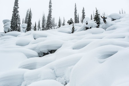 SIST VINTER: Tanner Hall er ikke dårligere nå (bildet over) enn han var i 2007 (filmen under). Foto: Daniel Rönnbäck SIST VINTER: Tanner Hall er ikke dårligere nå (bildet over) enn han var i 2007 (filmen under). Foto: Daniel Rönnbäck