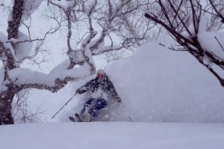 SNØ FRA ALLE KANTER: Da DPS-teamet besøkte Japan, kom snøen både ned fra himmelen og opp fra bakken. SNØ FRA ALLE KANTER: Da DPS-teamet besøkte Japan, kom snøen både ned fra himmelen og opp fra bakken.