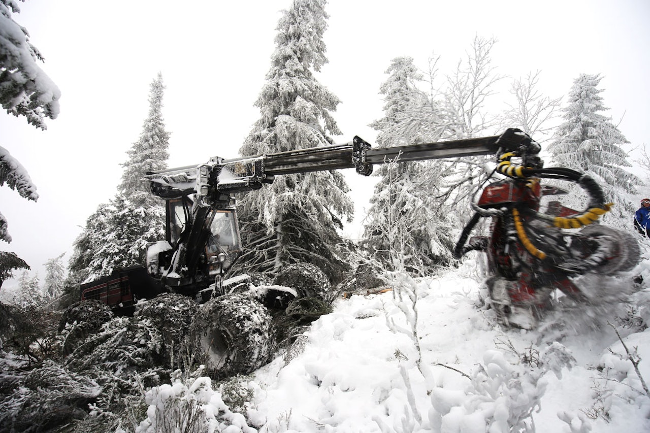 MENER ALVOR: Kvitfjell leker ikke hogging av skog. Med skogsmaskin lager de i disse dager tynnere skog og bedre frikjøringsmuligheter. Foto: Christian Bråtebekken MENER ALVOR: Kvitfjell leker ikke hogging av skog. Med skogsmaskin lager de i disse dager tynnere skog og bedre frikjøringsmuligheter. Foto: Christian Bråtebekken