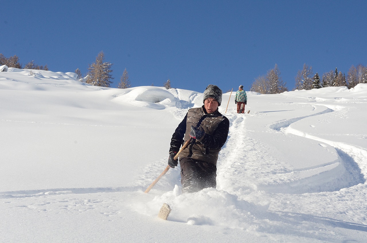 TUR: Skikjørerne Serk og Tursin demonstrerer gammel skikunst. Foto: Erlend Sande TUR: Skikjørerne Serk og Tursin demonstrerer gammel skikunst. Foto: Erlend Sande