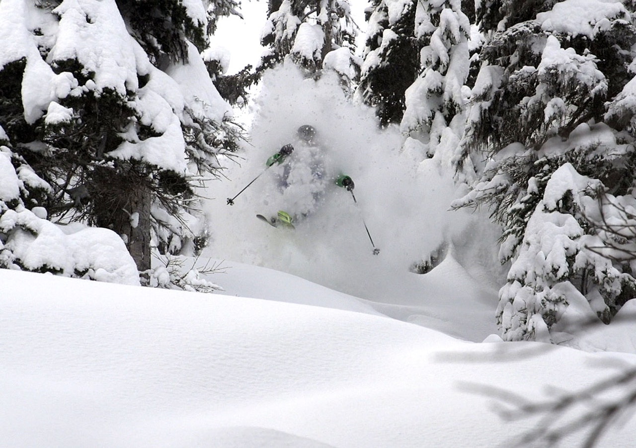 DRØMMEN: Det er knallhardt arbeid, altså å finne ut om det er sant at CMH har verdens beste heliskiing, men noen må gjøre jobben. DRØMMEN: Det er knallhardt arbeid, altså å finne ut om det er sant at CMH har verdens beste heliskiing, men noen må gjøre jobben.