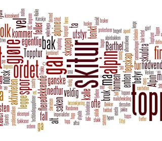 TOPPTUR: Et omdiskutert begrep, helt siden det oppstod. HVA SKAL AKTIVITETEN HETE? Hos oss på Fri Flyt-kontoret går diskusjonen høyt. Fungerer egentlig ordet «topptur»?