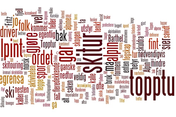 TOPPTUR: Et omdiskutert begrep, helt siden det oppstod. HVA SKAL AKTIVITETEN HETE? Hos oss på Fri Flyt-kontoret går diskusjonen høyt. Fungerer egentlig ordet «topptur»?