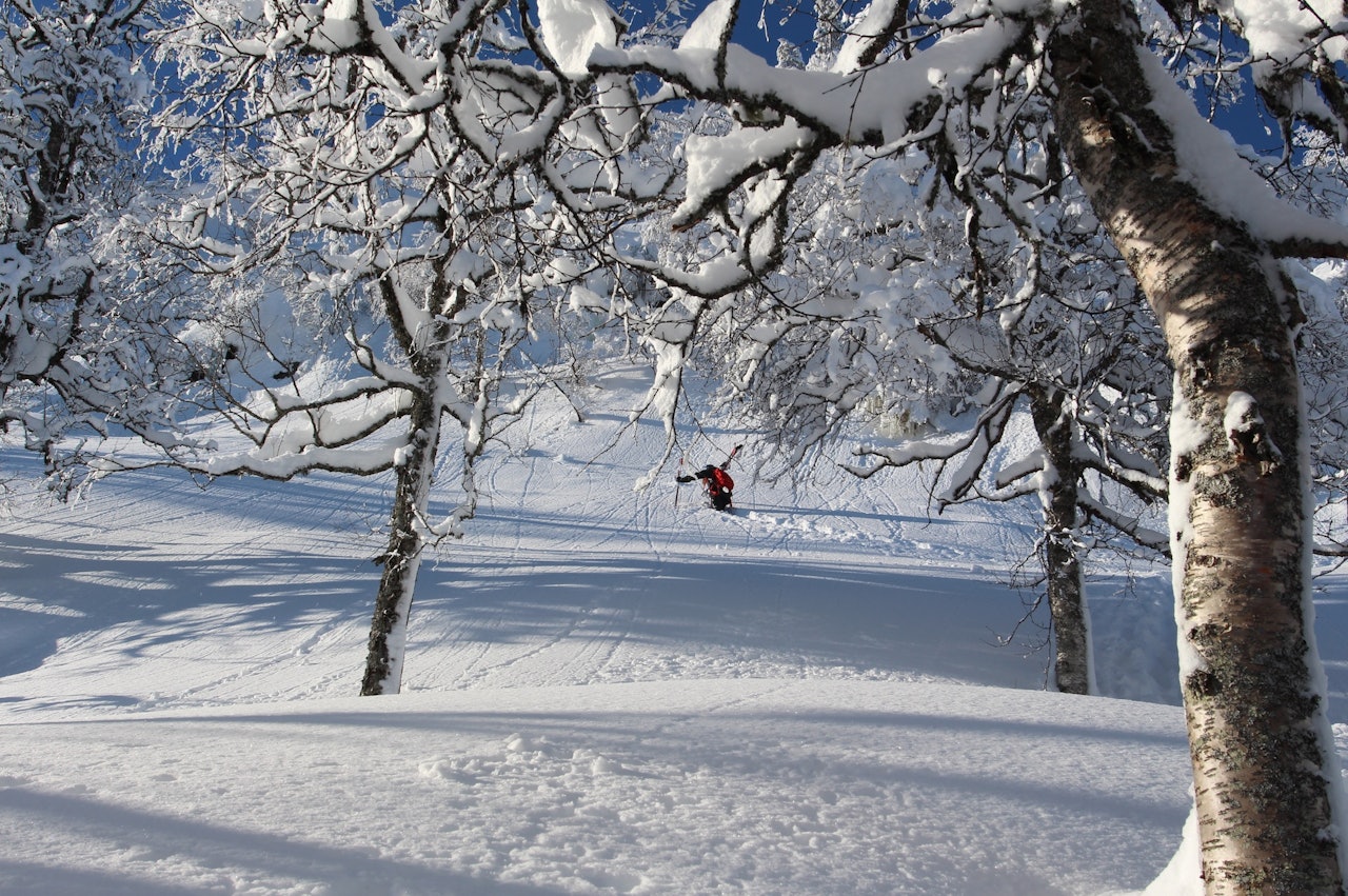 FINE DAGER: Halve Fri Flyt podkast er på besøk hos Svein Olav Lien i Grungedal. Bilde: Gøran Ulltang FINE DAGER: Halve Fri Flyt podkast er på besøk hos Svein Olav Lien i Grungedal. Bilde: Gøran Ulltang