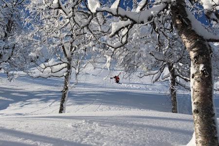 FINE DAGER: Halve Fri Flyt podkast er på besøk hos Svein Olav Lien i Grungedal. Bilde: Gøran Ulltang FINE DAGER: Halve Fri Flyt podkast er på besøk hos Svein Olav Lien i Grungedal. Bilde: Gøran Ulltang