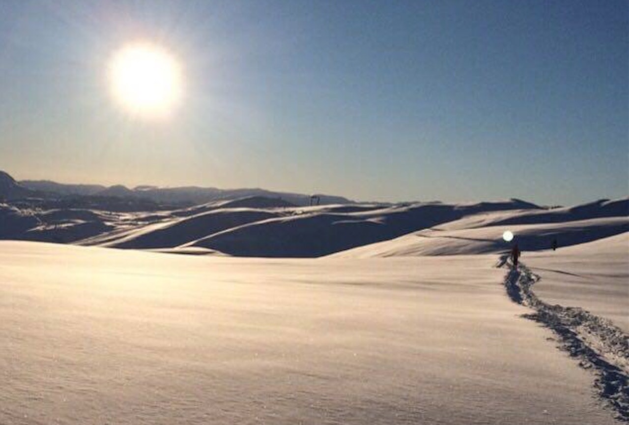 ETTER UVÆRET: På søndag har skal det verste været mange steder ha gitt seg. Kan det åpne for årets beste dag? Her er Henning Reinton i Sogndal på vei til Hodlekveskogen for noen uker siden. Bilde: Brynjar Aamot ETTER UVÆRET: På søndag har skal det verste været mange steder ha gitt seg. Kan det åpne for årets beste dag? Her er Henning Reinton i Sogndal på vei til Hodlekveskogen for noen uker siden. Bilde: Brynjar Aamot