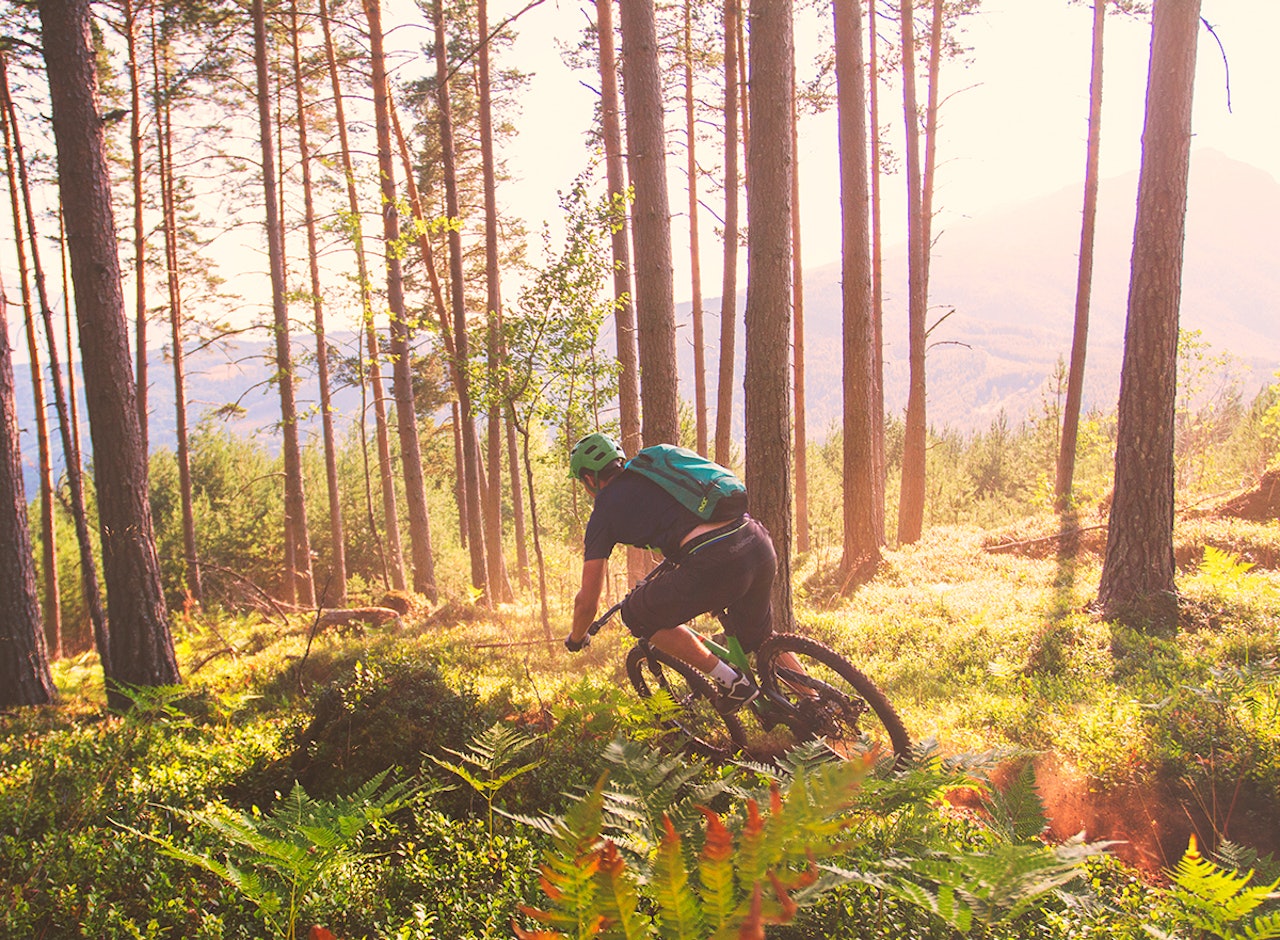 Det ble både stisykling og andre aktiviteter på den første festivaldagen. Foto: Vegard Boyum Det ble både stisykling og andre aktiviteter på den første festivaldagen. Foto: Vegard Boyum