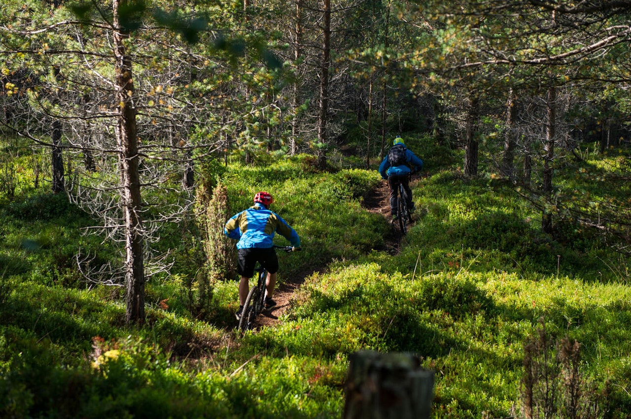 Stisykling står sentralt i programmet. Foto: Olav Standal Tangen Stisykling står sentralt i programmet. Foto: Olav Standal Tangen