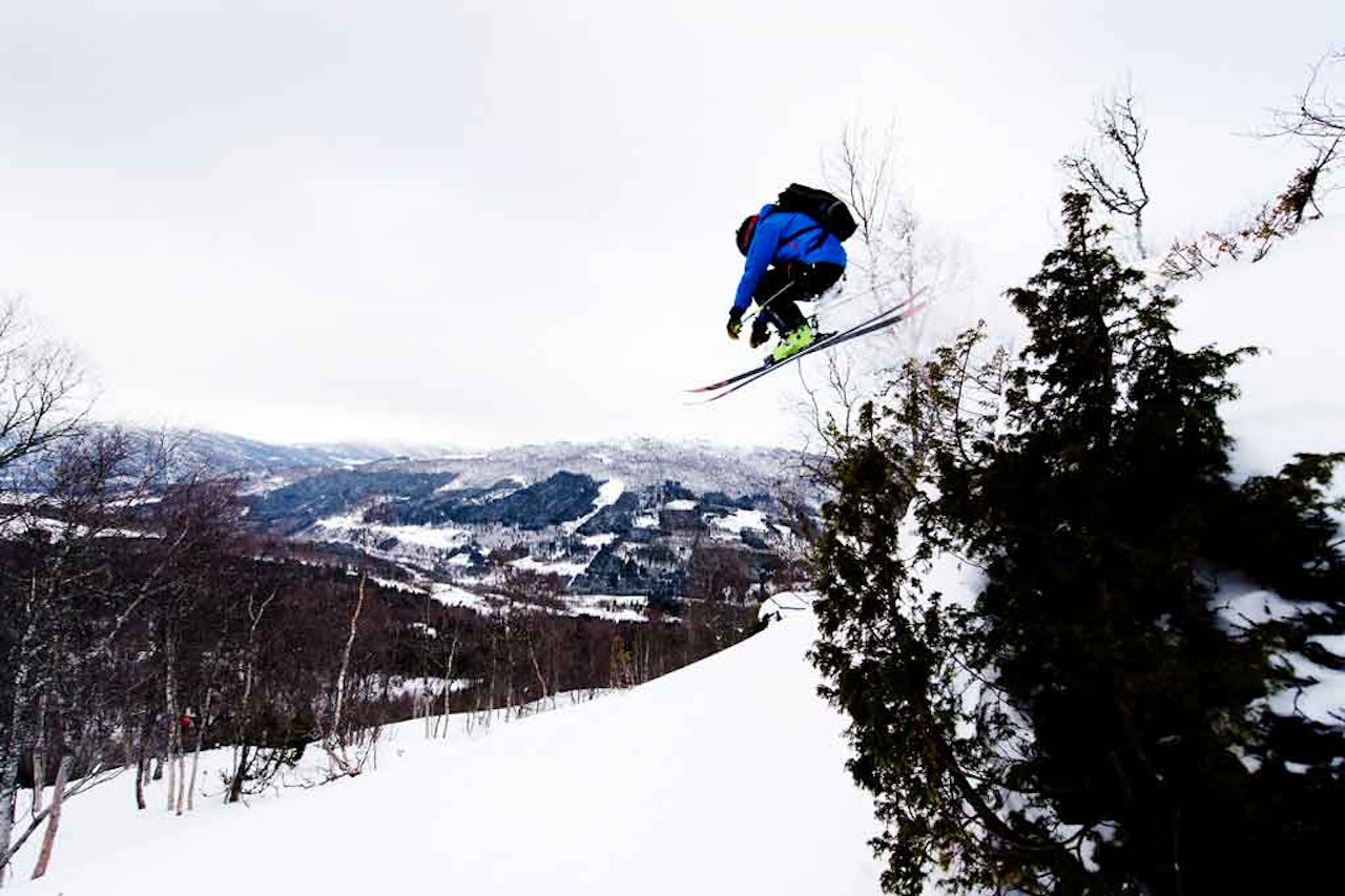 SKOGSKJØRINGSKLASSIKER: Grandisosaskogen på Strandafjellet er blant landets fineste heisbaserte skogskjøringsturer, ikke uten grunn. Foto: Martin Innerdal Dalen SKOGSKJØRINGSKLASSIKER: Grandisosaskogen på Strandafjellet er blant landets fineste heisbaserte skogskjøringsturer, ikke uten grunn. Foto: Martin Innerdal Dalen