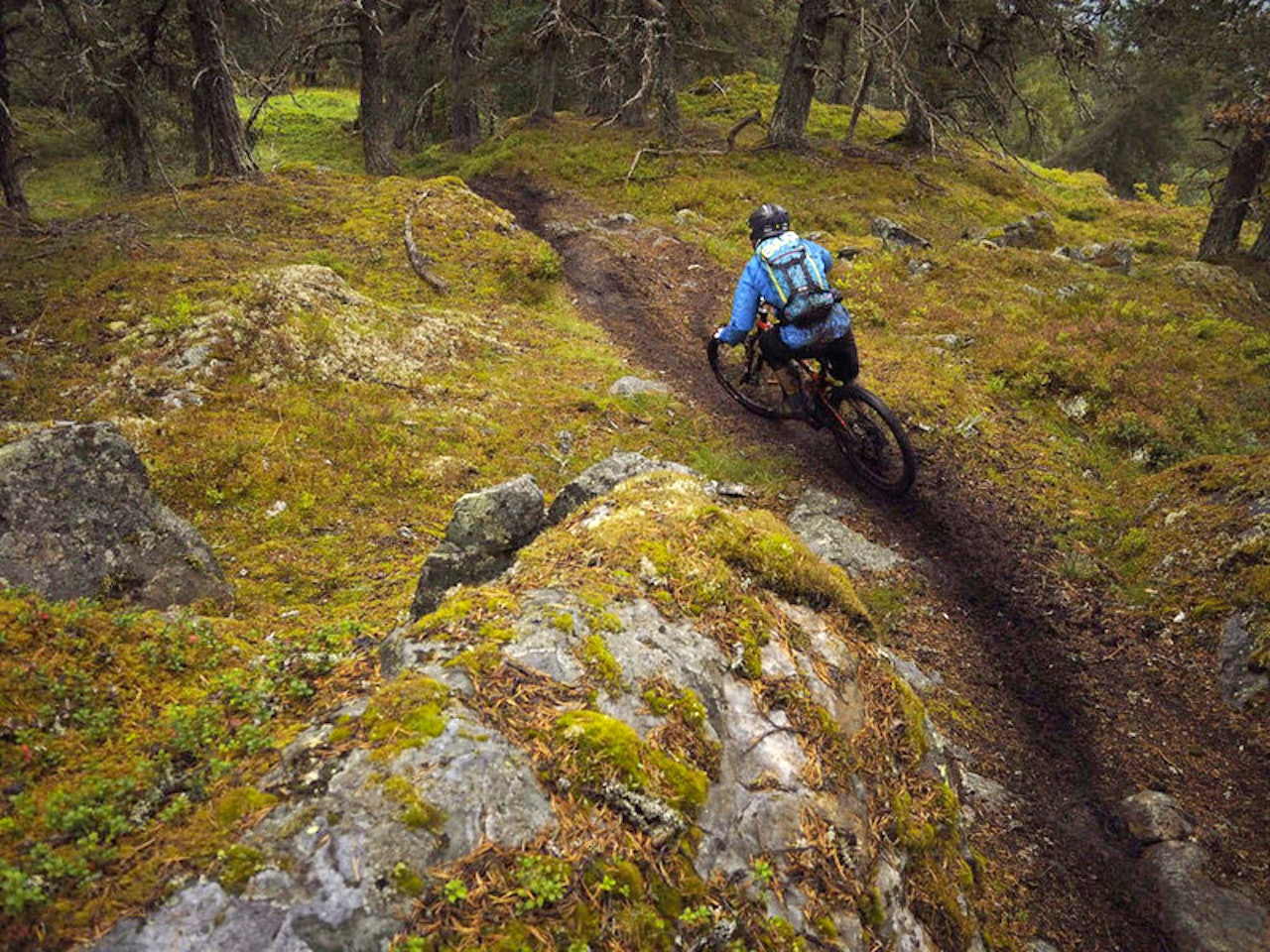 SPEKTAKULÆR ENDURO: Regn, gjørme og krevende forhold hindret ikke syklistene i å storkose seg på Molden. Her er det Bård Sturla Stokke som suser ned gjennom skogen. Foto: Knut Myking SPEKTAKULÆR ENDURO: Regn, gjørme og krevende forhold hindret ikke syklistene i å storkose seg på Molden. Her er det Bård Sturla Stokke som suser ned gjennom skogen. Foto: Knut Myking