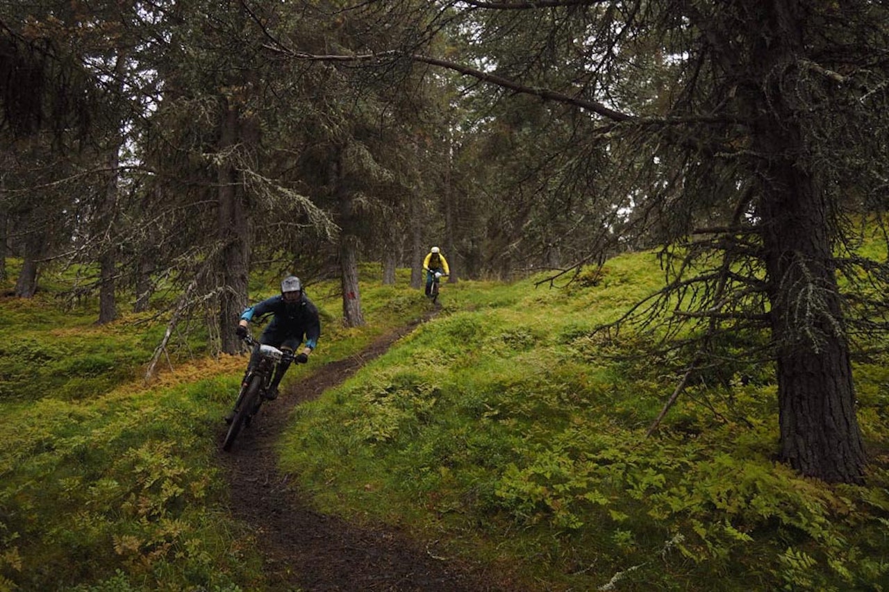 VÅTT OG KREVENDE: Gjørme og vanskelige forhold på Molden i dag, men like fullt ble det favorittseier i både herre- og kvinneklassen. Foto: Knut Myking