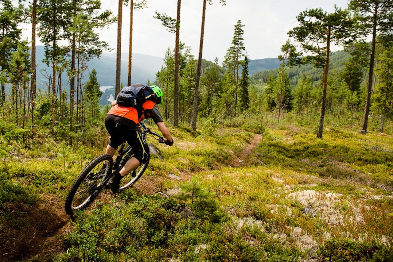 STIPARADIS: Ål er i ferd med å få seg et knallsterkt navn blant folk som trives på smale stier. Foto: Martin I. Dalen STIPARADIS: Ål er i ferd med å få seg et knallsterkt navn blant folk som trives på smale stier. Foto: Martin I. Dalen