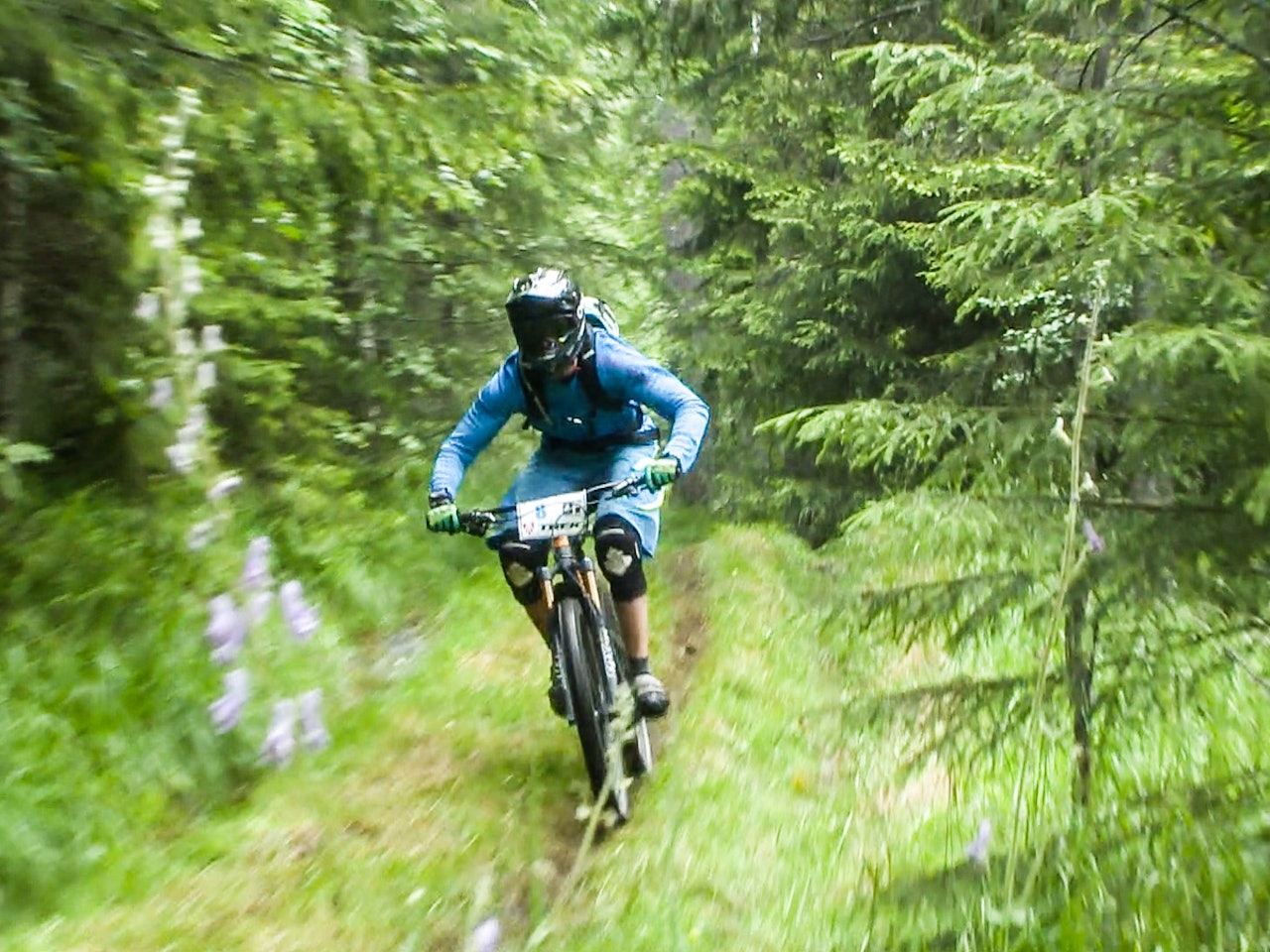ÅPEN SKOG: Seireren gikk til Zakka, men som alle vet, er det viktigste å delta. ÅPEN SKOG: Seireren gikk til Zakka, men som alle vet, er det viktigste å delta.