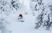 Trysil offpiste freeride snø pudder off piste offpist skistar pudder snø alpint snowboard ski randonee topptur
