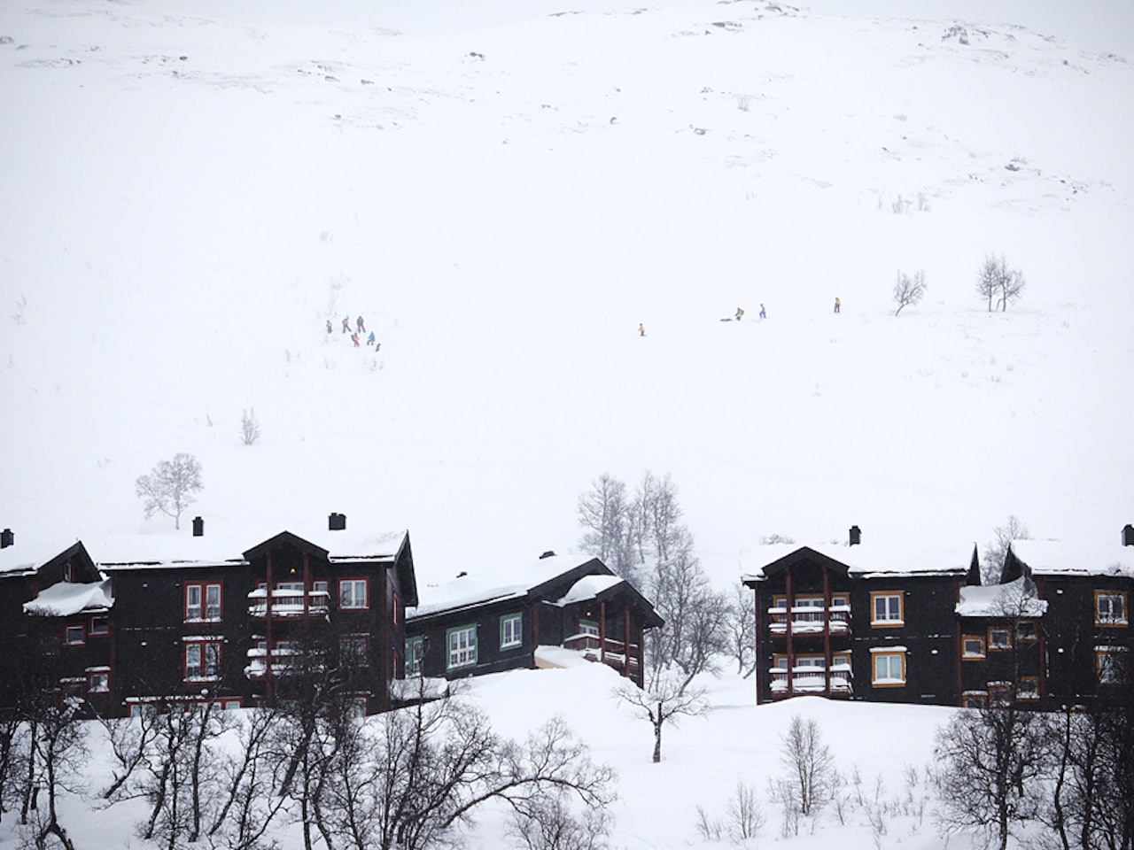 SNØSKRED: Ett av de tre snøskredene gikk like ved Vågslidheisen, bak bygningene på bildet. Her er leteaksjonen i full gang, men det viste seg etter hvert at ingen var tatt i skredet. Foto: Knut Ivar Skogland SNØSKRED: Ett av de tre snøskredene gikk like ved Vågslidheisen, bak bygningene på bildet. Her er leteaksjonen i full gang, men det viste seg etter hvert at ingen var tatt i skredet. Foto: Knut Ivar Skogland