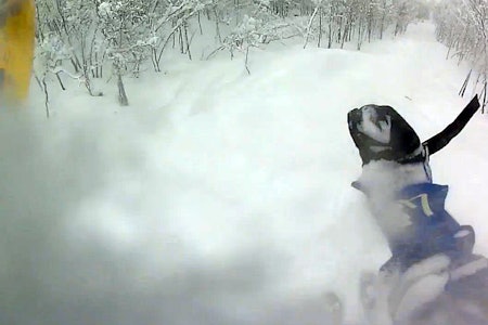 HALLINGPOW: Snorkel var egentlig påkrevd i Hallingskarvet skisenter i går! Hallingskarvet pudder pow ski freeride frikjøring fri flyt guide