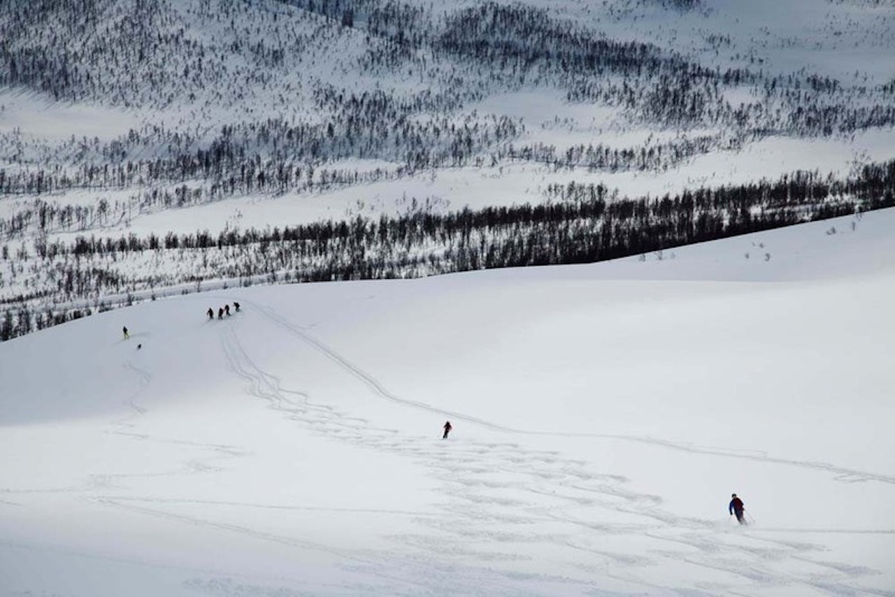 SKREDFRITT: Det er fullt mulig å komme seg på ski i Troms uten å få trøbbel med skred, slik som her på Senja sist uke. Men du må regne med å bli snikfotografert og plassert i avisa. Foto: Thomas Kleiven