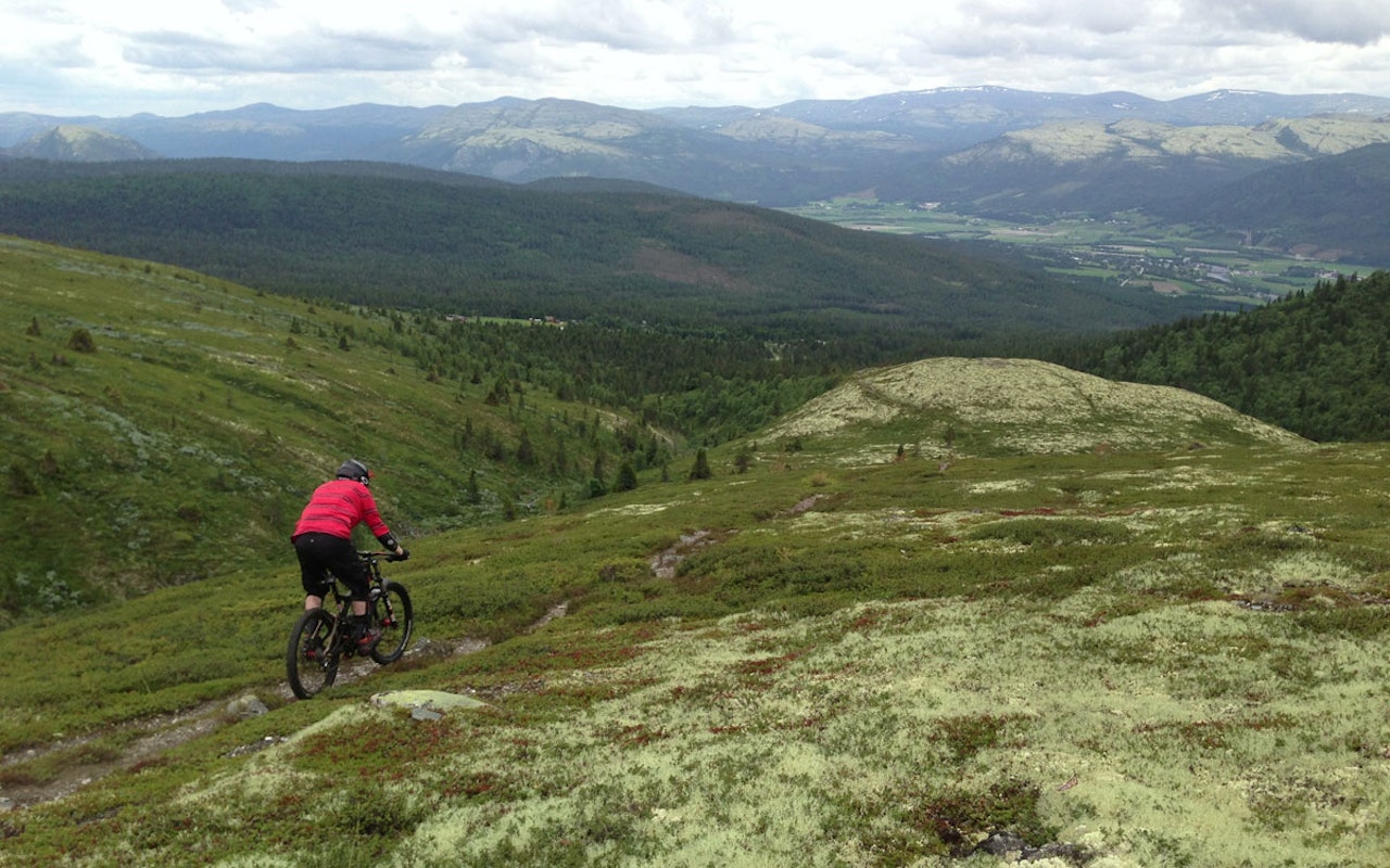 TRONFJELL: 800 høydemeter med smalsti og bilvei til topps. Her er Pål Nilsgård i aksjon i fjor. Foto: Hans Rasmussen TRONFJELL: 800 høydemeter med smalsti og bilvei til topps. Her er Pål Nilsgård i aksjon i fjor. Foto: Hans Rasmussen