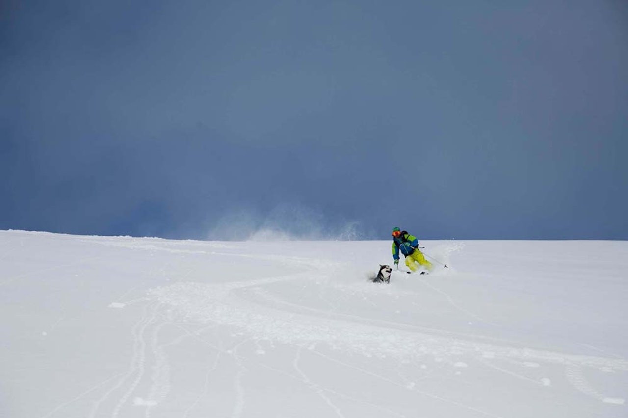 PUDDER: Bent Vidar Eilertsen mener det er en smal sak å benytte seg av de fantastiske snøforholdene på Senja så lenge du tar hensyn til naturens signaler, og gjør valg deretter. Her kjører han pudder på Senja sist fredag. Foto: Thomas Kleiven PUDDER: Bent Vidar Eilertsen mener det er en smal sak å benytte seg av de fantastiske snøforholdene på Senja så lenge du tar hensyn til naturens signaler, og gjør valg deretter. Her kjører han pudder på Senja sist fredag. Foto: Thomas Kleiven