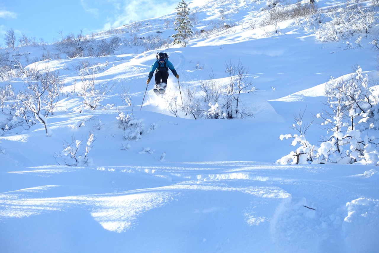 SESONGENS FØRSTE VINNER: Torbjørn P. Løseths sitt blinkskudd fra Folddalen fikk flest stemmer. SESONGENS FØRSTE VINNER: Torbjørn P. Løseths sitt blinkskudd fra Folddalen fikk flest stemmer.