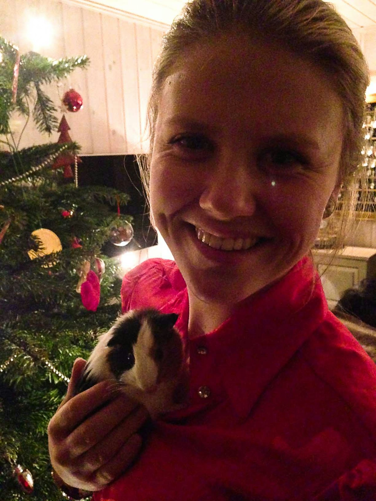 MØT BOBBY: Tirils nye marsvin er oppkalt etter skikjøreren Bobby Brown. Foto: Privat MØT BOBBY: Tirils nye marsvin er oppkalt etter skikjøreren Bobby Brown. Foto: Privat