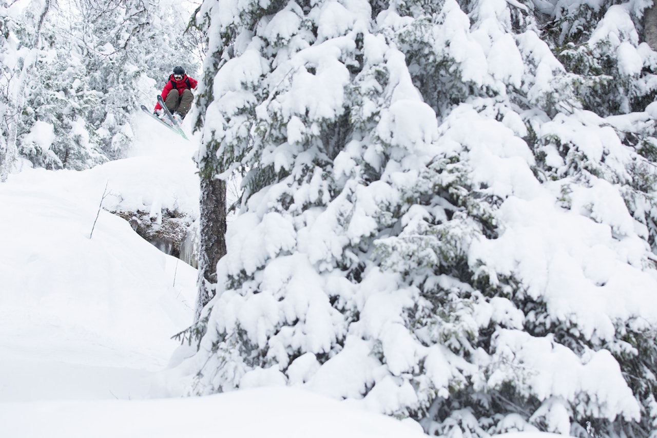 SKOGSKLASSIKER: Gummiskogen i Hemsedal er sannsynligvis Norges mest kjørte frikjøringstur. Skisenteret i Hemsedal rydder i skogen for å gjøre den åpnere, og lettere å bedrive redningsaksjoner i. Bonusen er at kjøringa blir enda bedre. Arkivfoto: Kalle Hägglund SKOGSKLASSIKER: Gummiskogen i Hemsedal er sannsynligvis Norges mest kjørte frikjøringstur. Skisenteret i Hemsedal rydder i skogen for å gjøre den åpnere, og lettere å bedrive redningsaksjoner i. Bonusen er at kjøringa blir enda bedre. Arkivfoto: Kalle Hägglund