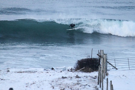 HARRYTUR: Matthew Harry fikk seg en tur inn i det grønne rommet denne merkedagen på Jæren. Bilde: Jaymin Rowlands HARRYTUR: Matthew Harry fikk seg en tur inn i det grønne rommet denne merkedagen på Jæren. Bilde: Jaymin Rowlands