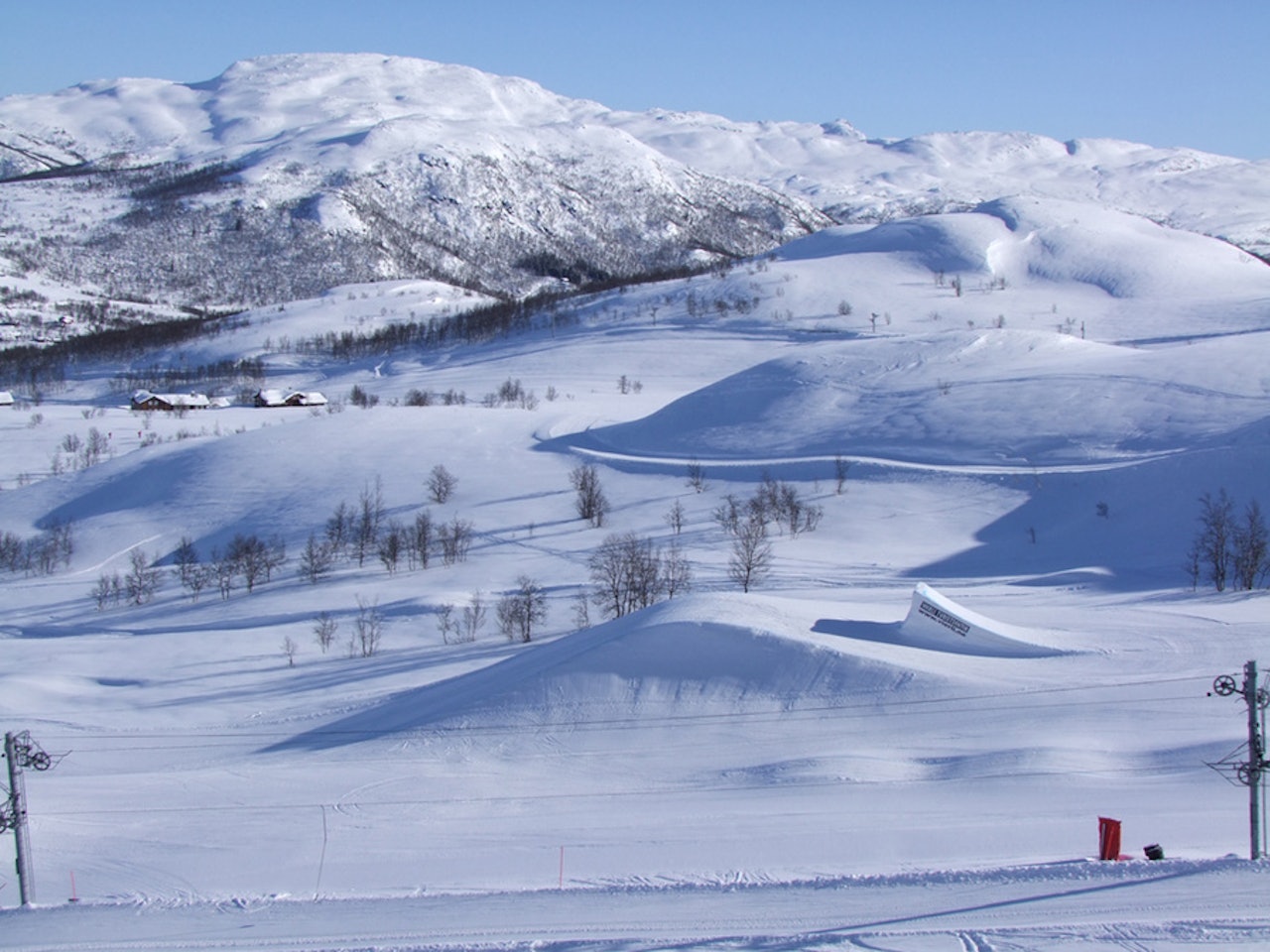 KVALITET: Det er ikke rart at parkrotter valfarter i hopetall hit, Vierli er unikt! Og det er dette vi vil hedre her! KVALITET: Det er ikke rart at parkrotter valfarter i hopetall hit, Vierli er unikt! Og det er dette vi vil hedre her!