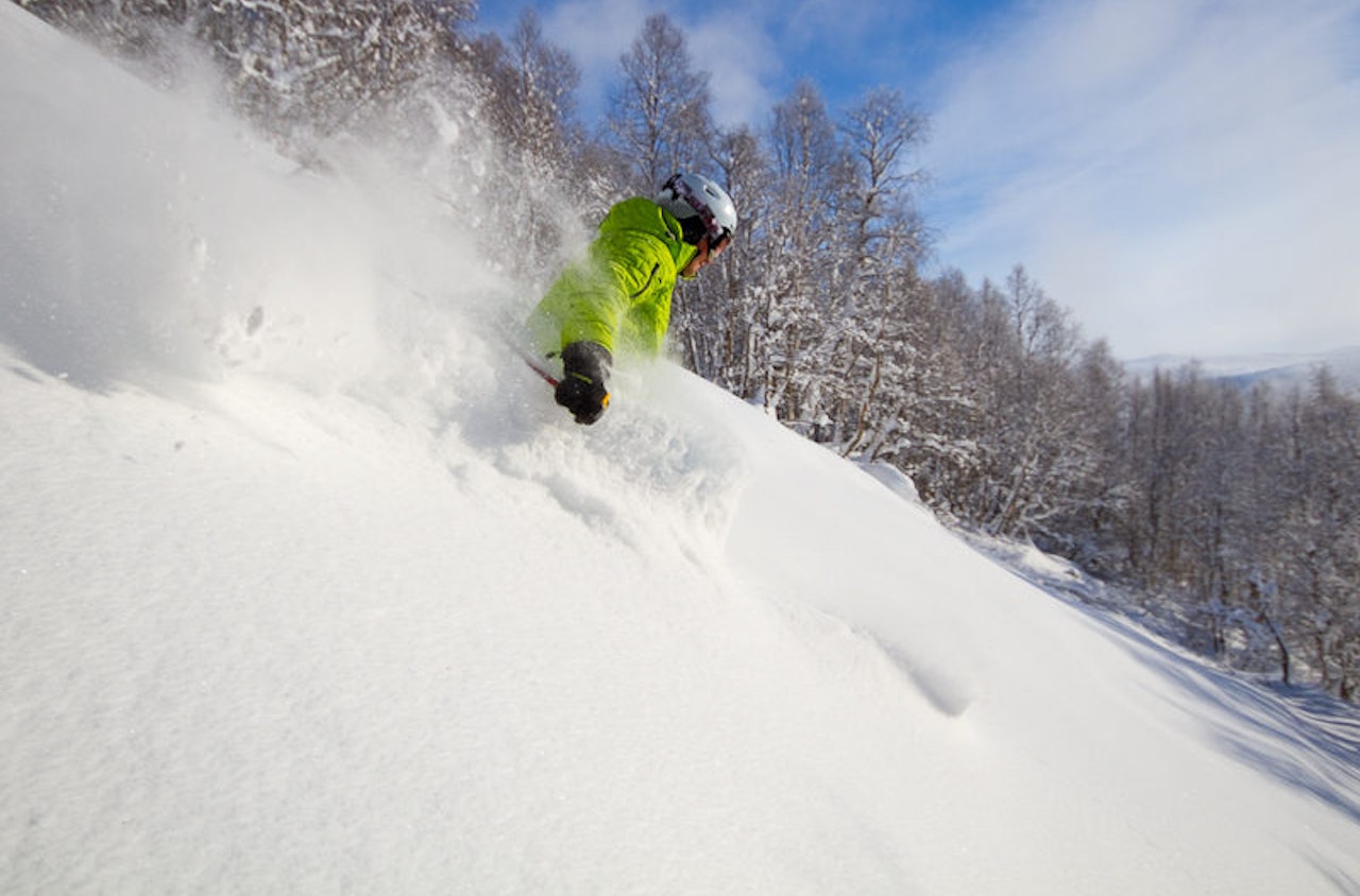 Bjorli skisenter freeride frikjøring pudder snø alpint ski snowboard topptur randonee