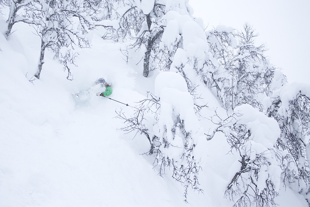 TYPISK HEMSEDAL: Hodedyp pudder har vært daglig kost for Kaj Zackrisson i Hemsedal i vinter. Foto: Kalle Hägglund TYPISK HEMSEDAL: Hodedyp pudder har vært daglig kost for Kaj Zackrisson i Hemsedal i vinter. Foto: Kalle Hägglund