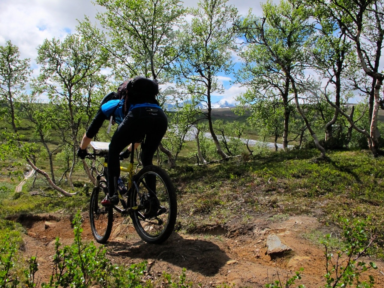 SVENSK KVALITET: Stiene i fjellområdet Sylan, som ligger på grensa mellom Trøndelag og Jämtland, byr på utmerket stisykling. Foto: Bård Smestad SVENSK KVALITET: Stiene i fjellområdet Sylan, som ligger på grensa mellom Trøndelag og Jämtland, byr på utmerket stisykling. Foto: Bård Smestad