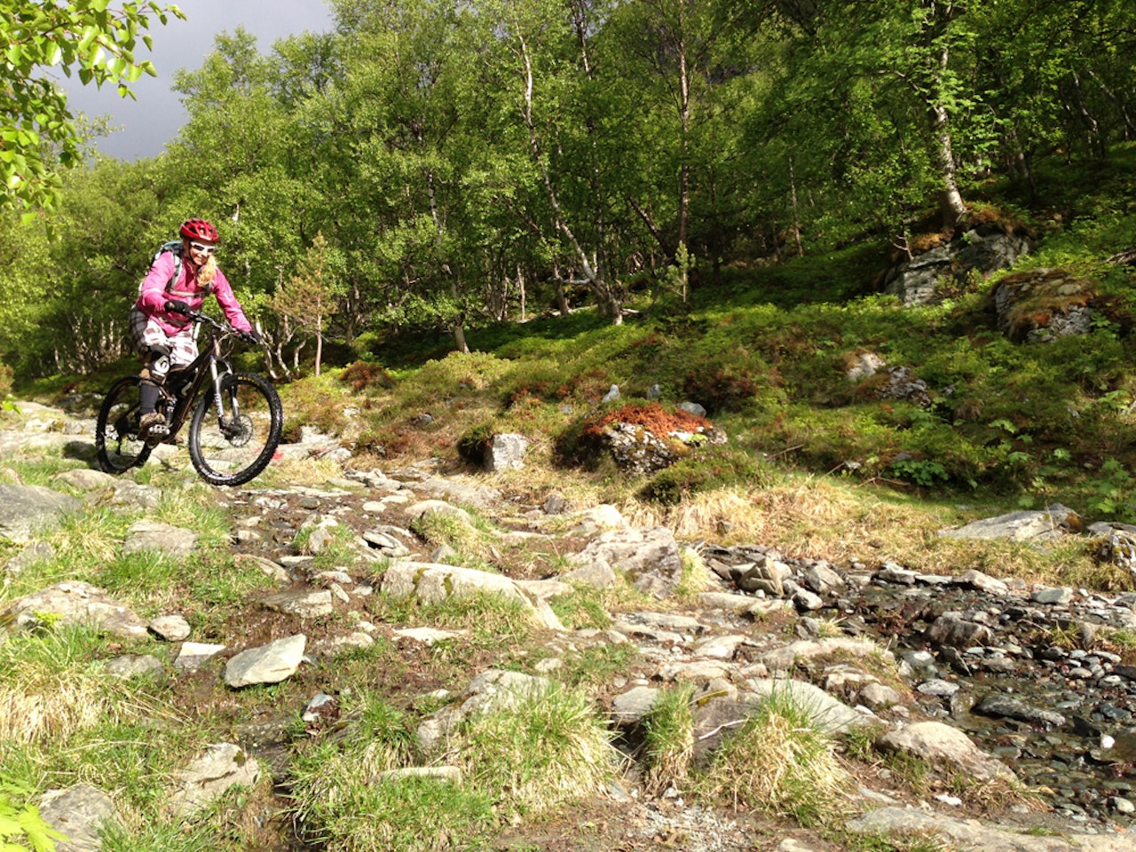 STISYKLIST: Tone Jersin Ansnes er halvt oppdaling, og tilbringer sommeren på jobb i trønderbygda. Og på sykkelstiene der. STISYKLIST: Tone Jersin Ansnes er halvt oppdaling, og tilbringer sommeren på jobb i trønderbygda. Og på sykkelstiene der.