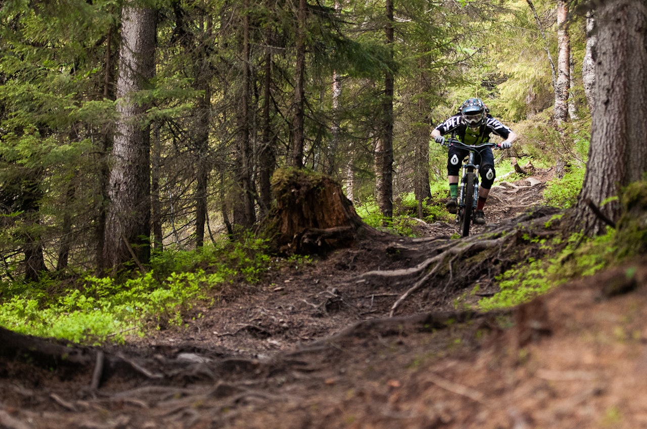 ENDUROÅRE: Andy White lader på klassisk Åre-singletrack. Foto: Tobias Liljeroth ENDUROÅRE: Andy White lader på klassisk Åre-singletrack. Foto: Tobias Liljeroth